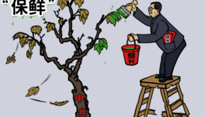 компартия китая карикатура